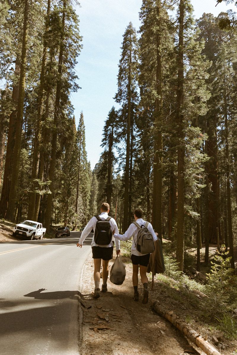 Two people hiking along a forest road surrounded by tall pine trees.