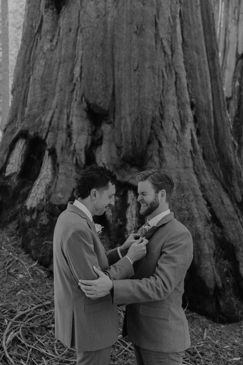 Black and white photo of a tender moment in front of a giant sequoia tree trunk.