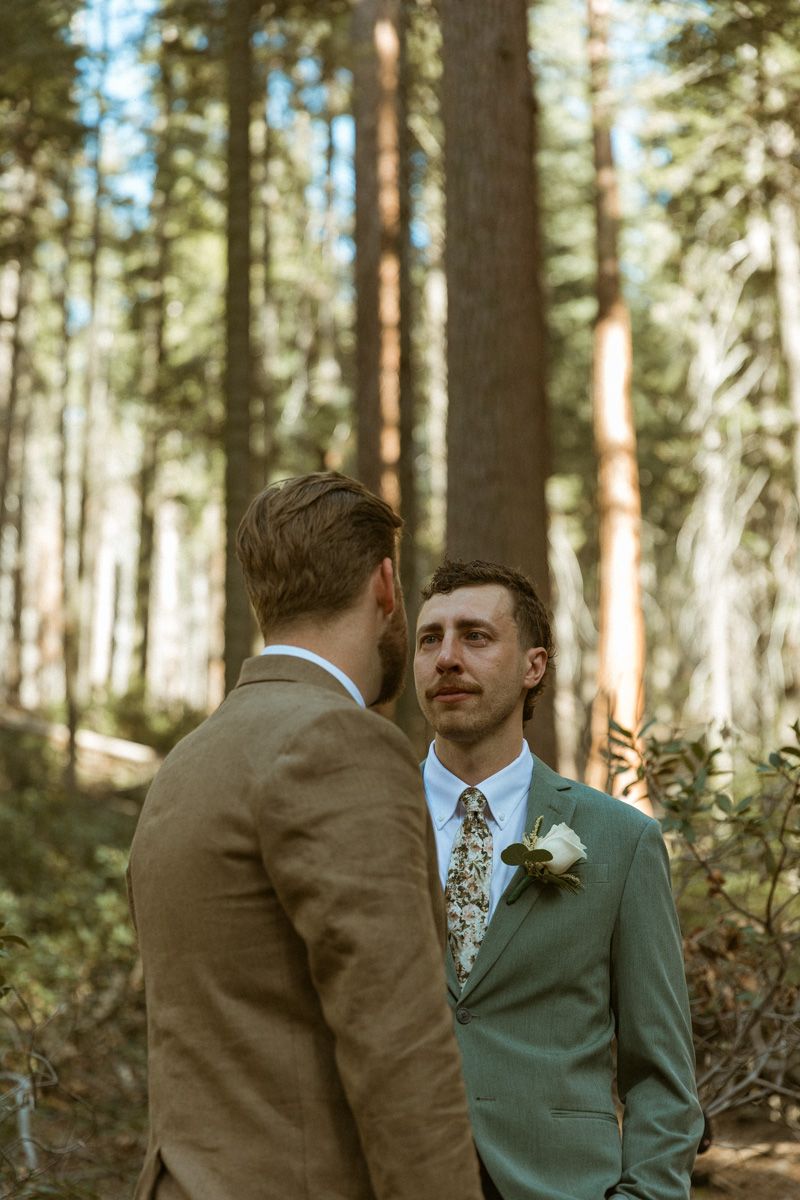 Two people sharing an emotional moment among tall trees in a sunlit forest.