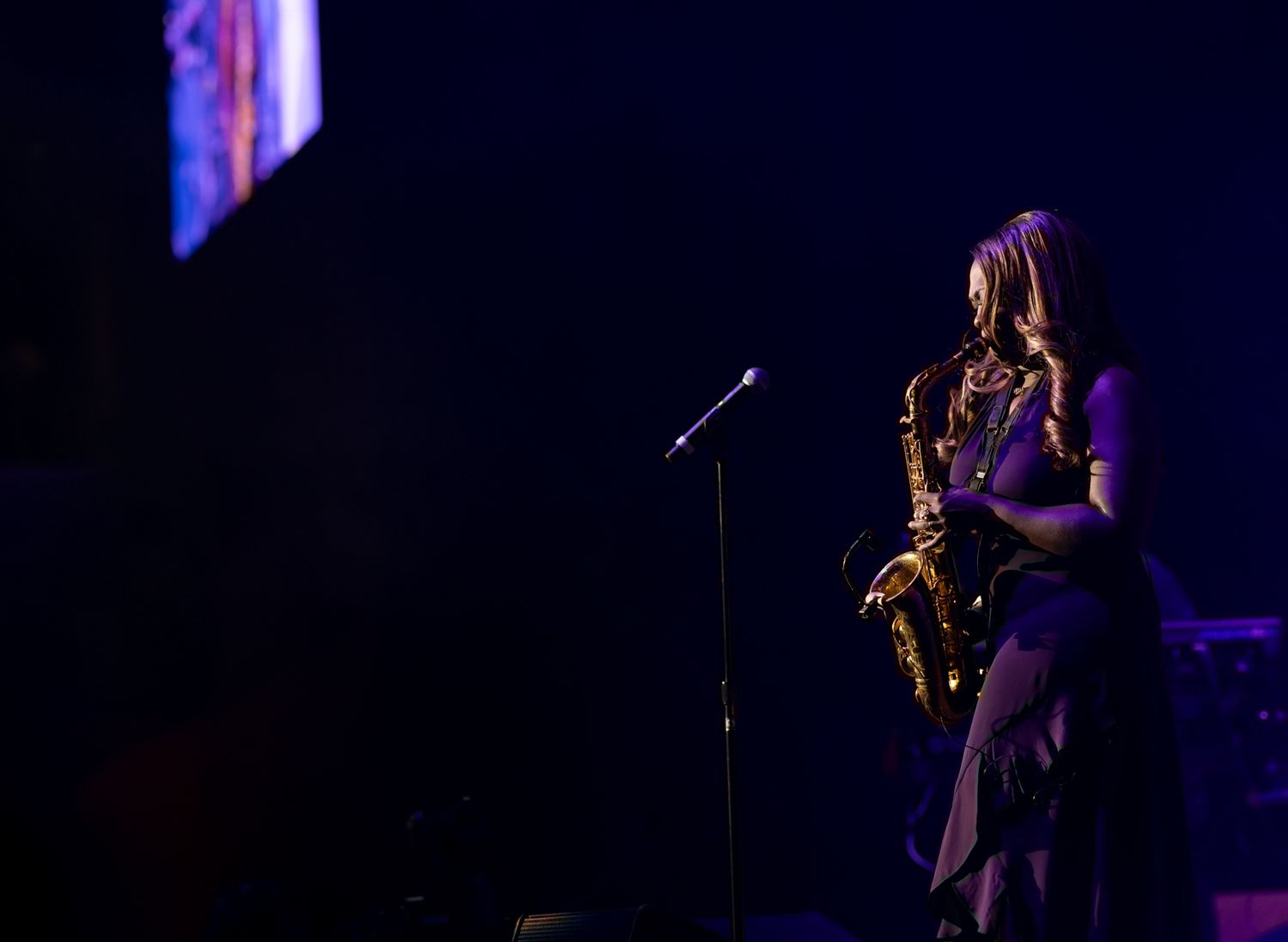 Concert and live performance photography capturing high-energy moments, stage presence, and audience emotion with cinematic detail.