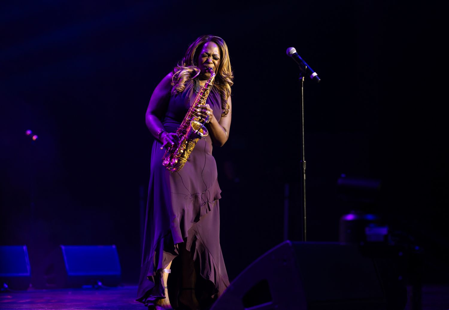 Concert and live performance photography capturing high-energy moments, stage presence, and audience emotion with cinematic detail.