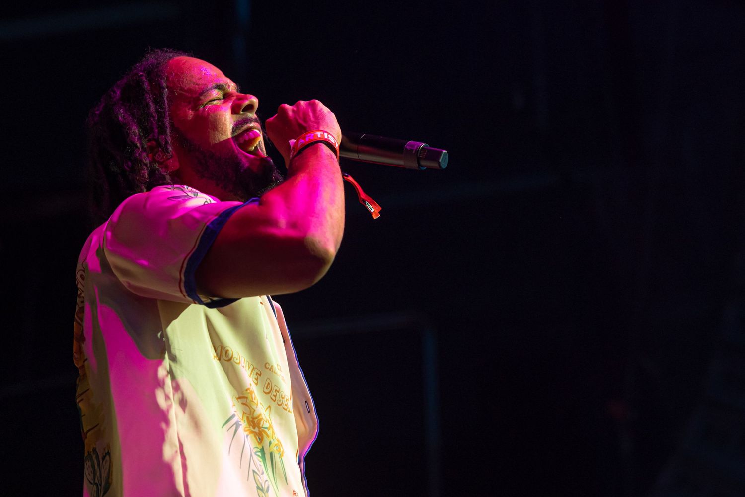 Concert and live performance photography capturing high-energy moments, stage presence, and audience emotion with cinematic detail.
