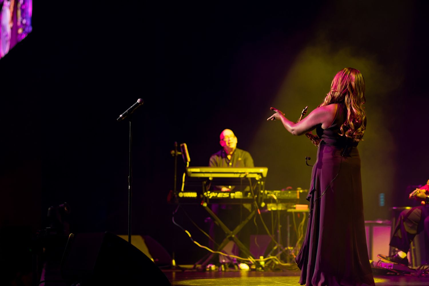 Concert and live performance photography capturing high-energy moments, stage presence, and audience emotion with cinematic detail.