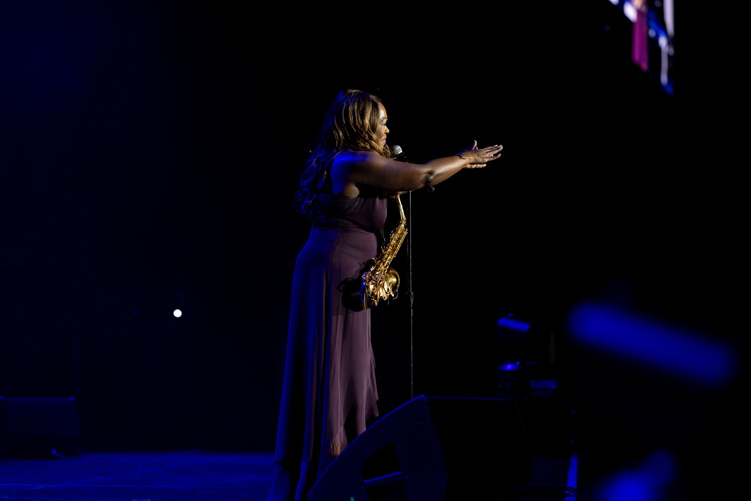 Concert and live performance photography capturing high-energy moments, stage presence, and audience emotion with cinematic detail.
