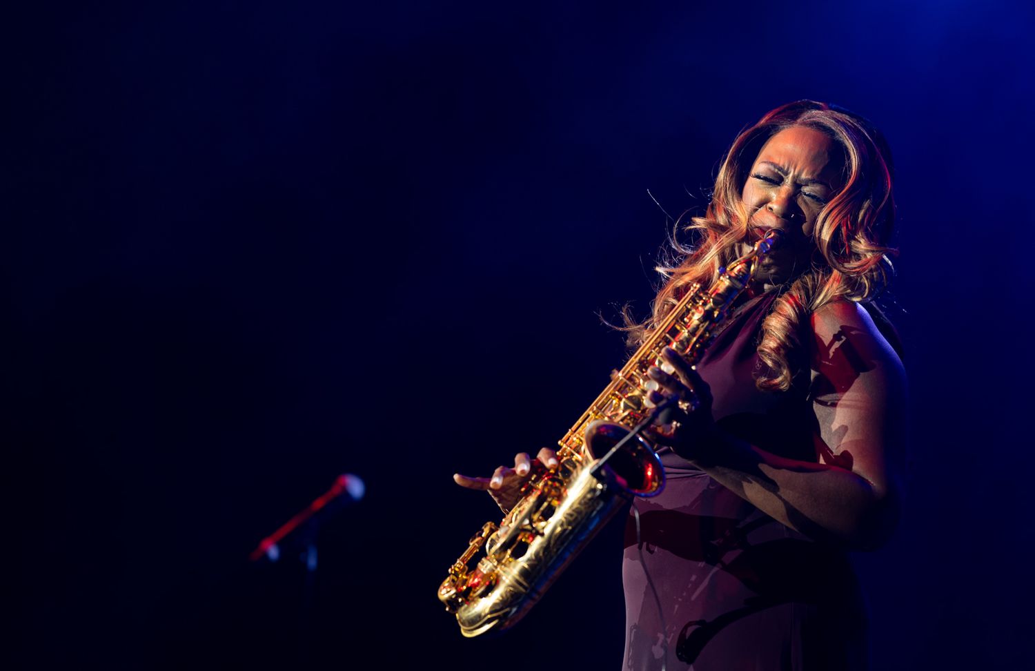 Concert and live performance photography capturing high-energy moments, stage presence, and audience emotion with cinematic detail.