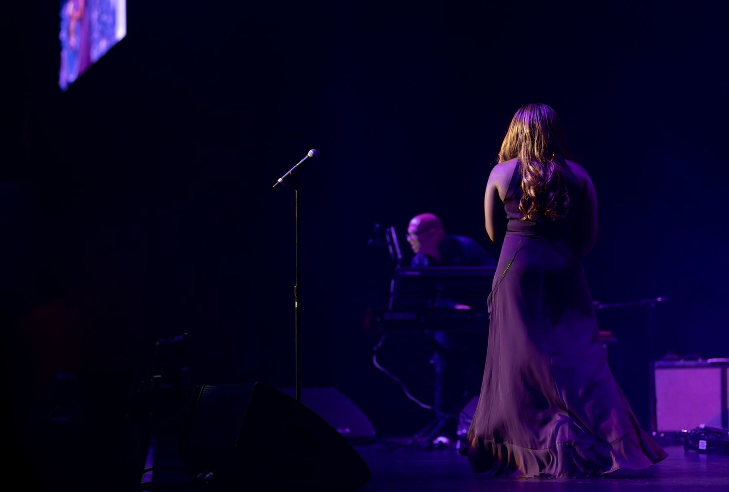 Concert and live performance photography capturing high-energy moments, stage presence, and audience emotion with cinematic detail.