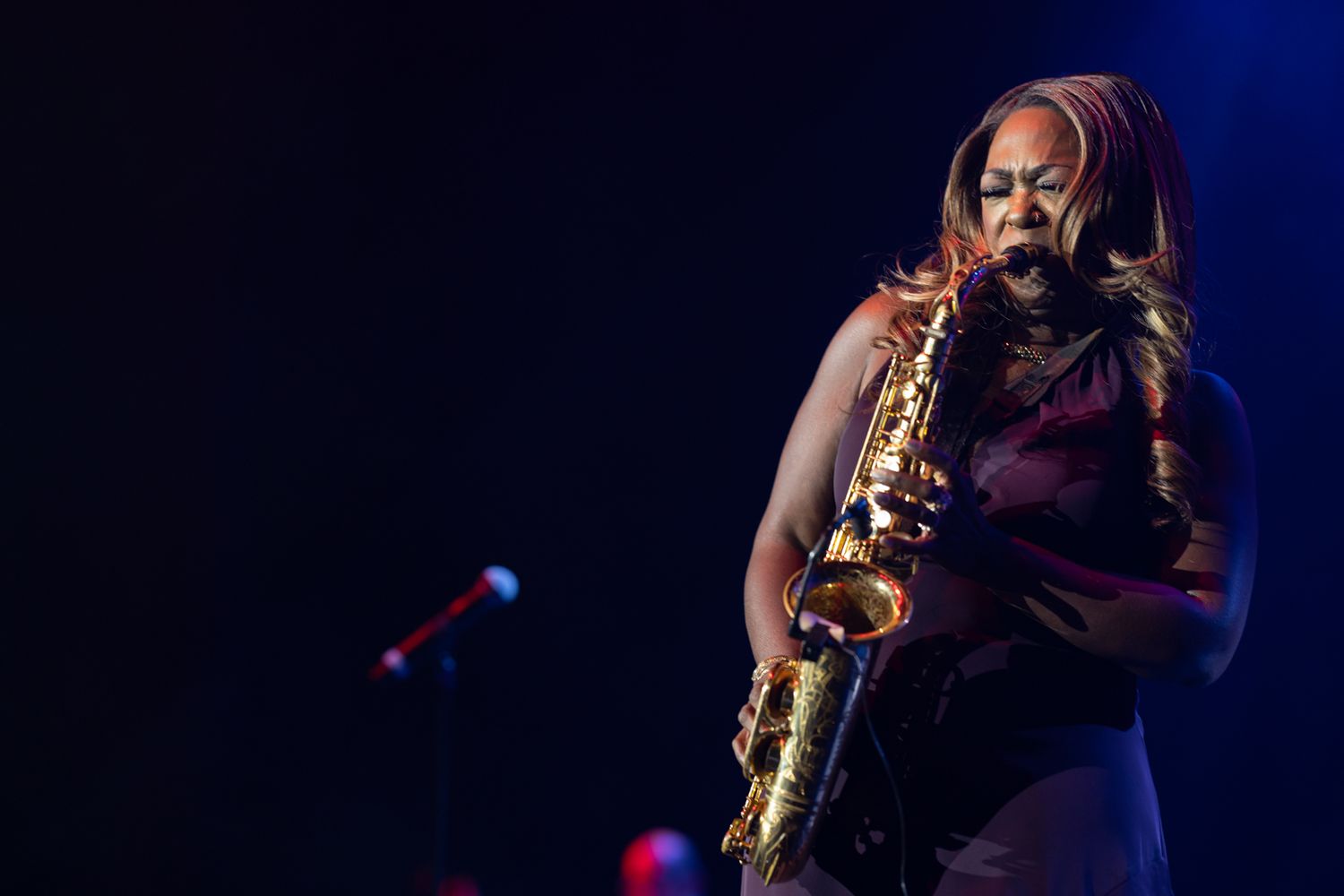 Concert and live performance photography capturing high-energy moments, stage presence, and audience emotion with cinematic detail.