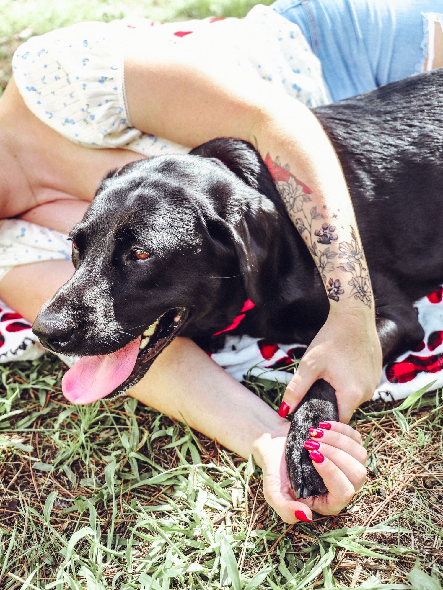 Happy black dog relaxing on floral blanket with tongue out during outdoor photoshoot.