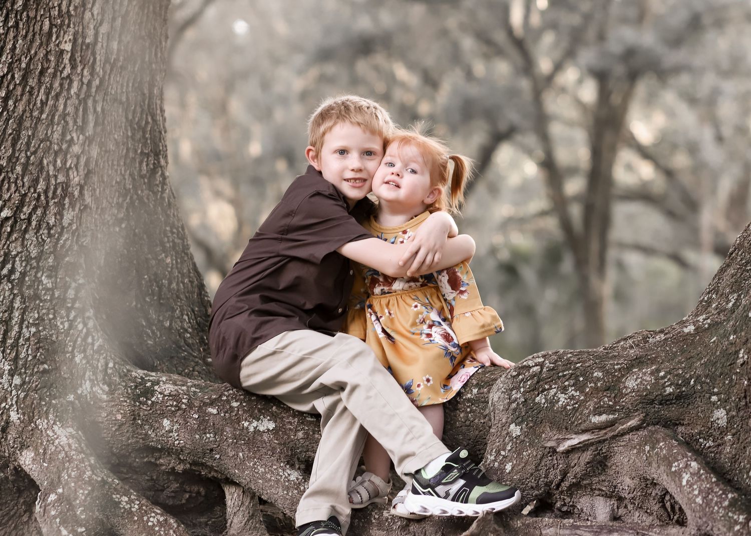 Two children sit close together and share a sweet moment while perched on a gnarled tree branch in a misty forest.