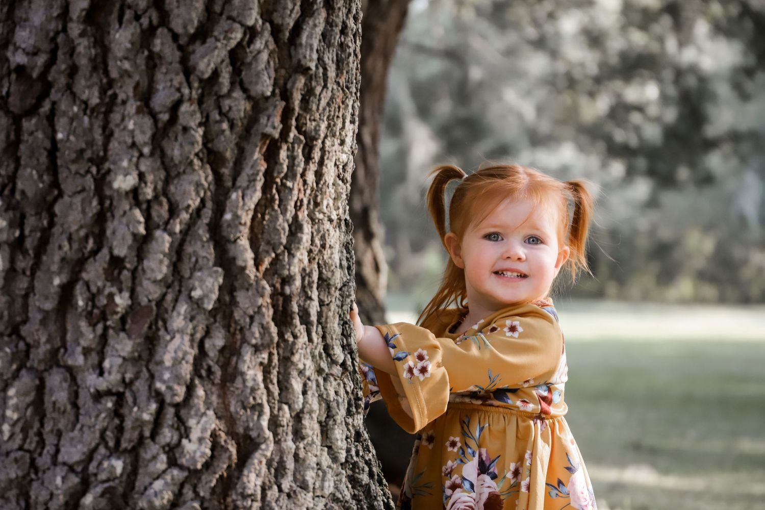 A child in a mustard yellow sweater peeks playfully from behind a large tree trunk in a park setting.