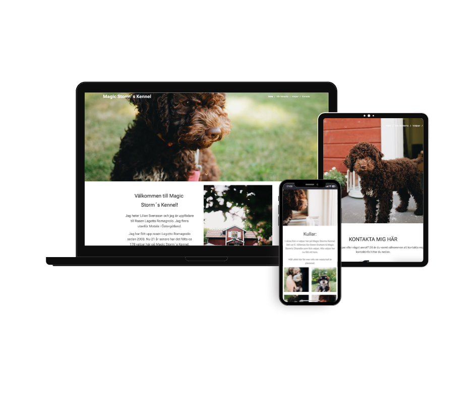 Hemsida byggd och designad till kenneln Magic Storms