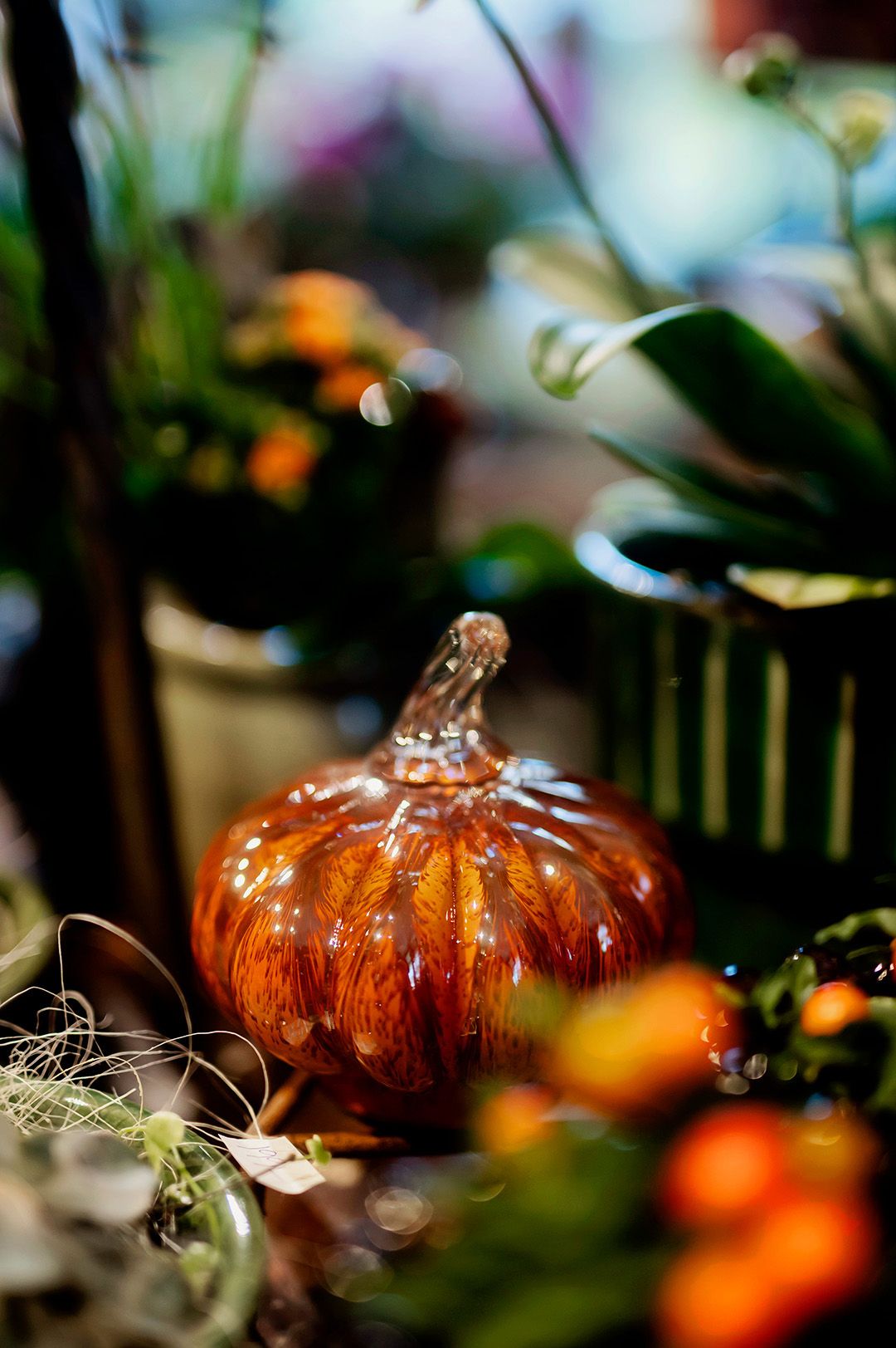 Pumpa i glas hos Min lilla blomsteratelje