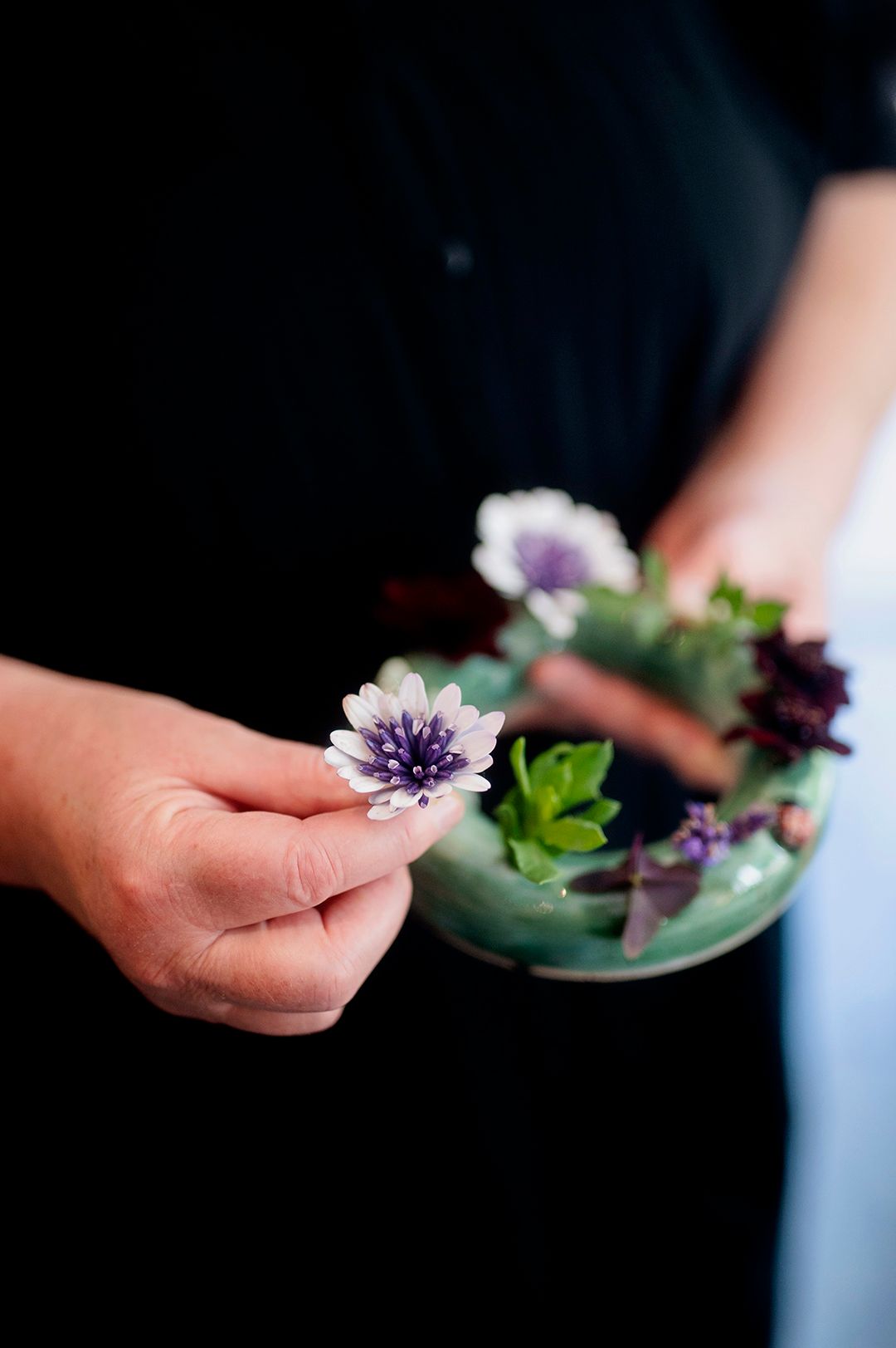 Brandingbilder blomgroda