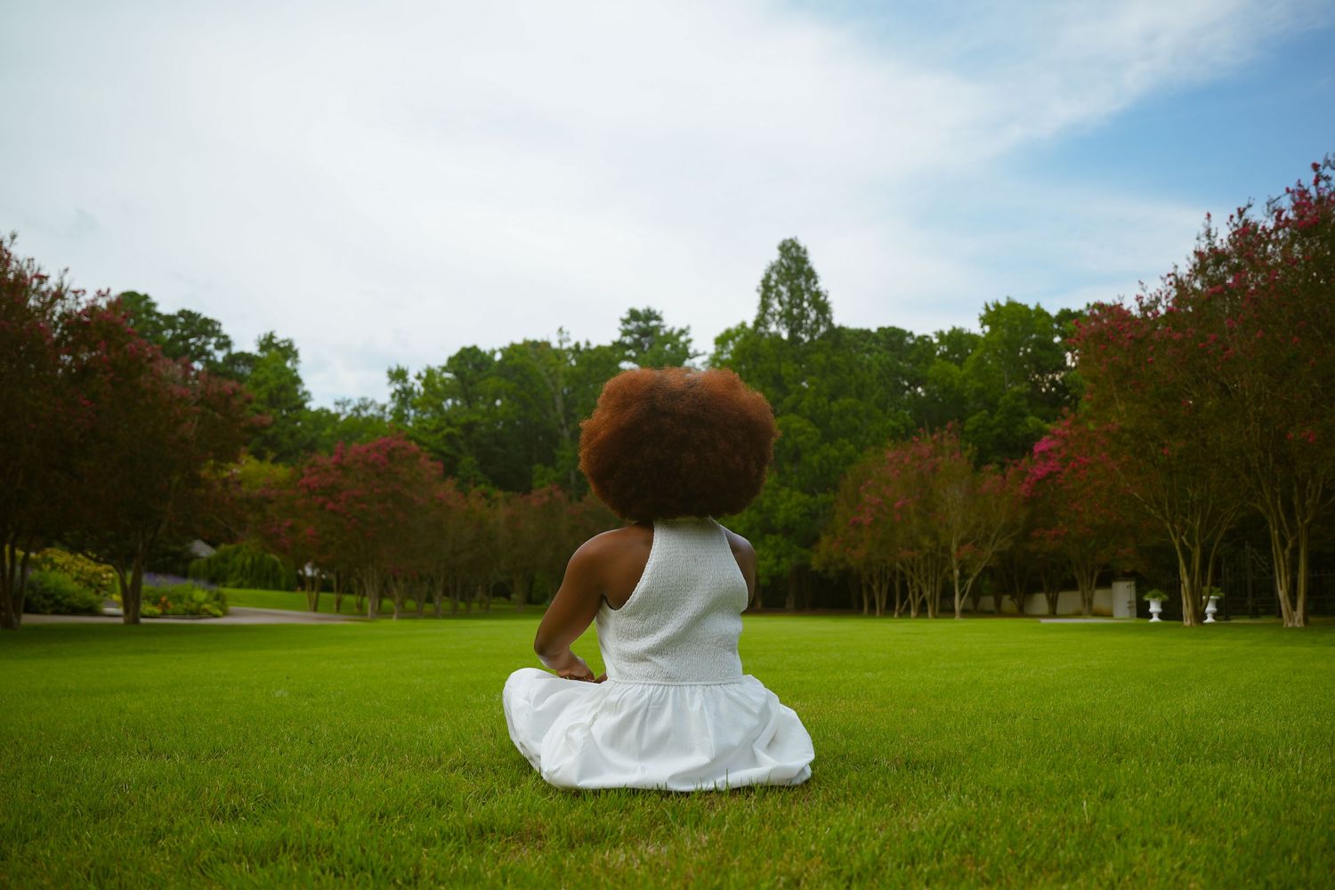 A panoramic sequence shows a person in white dress rolling down a grassy hill in a park setting.