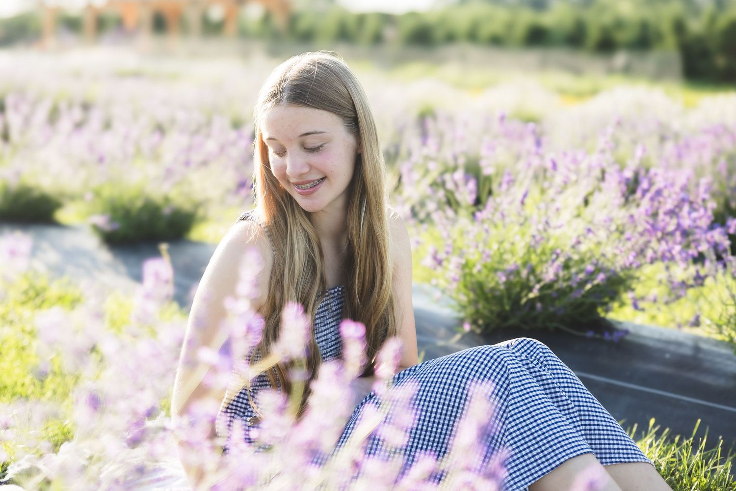 A woman in a blue gingham dress sits among blooming purple wildflowers in a sunlit meadow on a summer day.