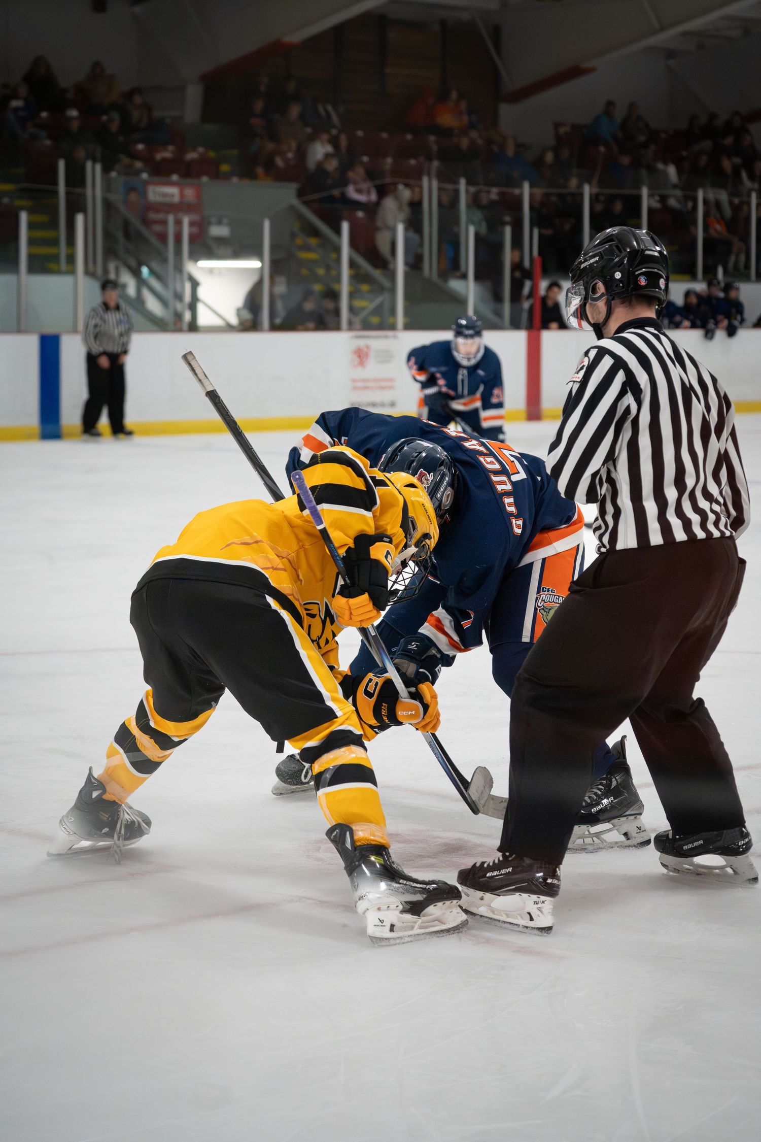 Hockey players in yellow and navy jerseys face off on ice as referee observes during competitive match.