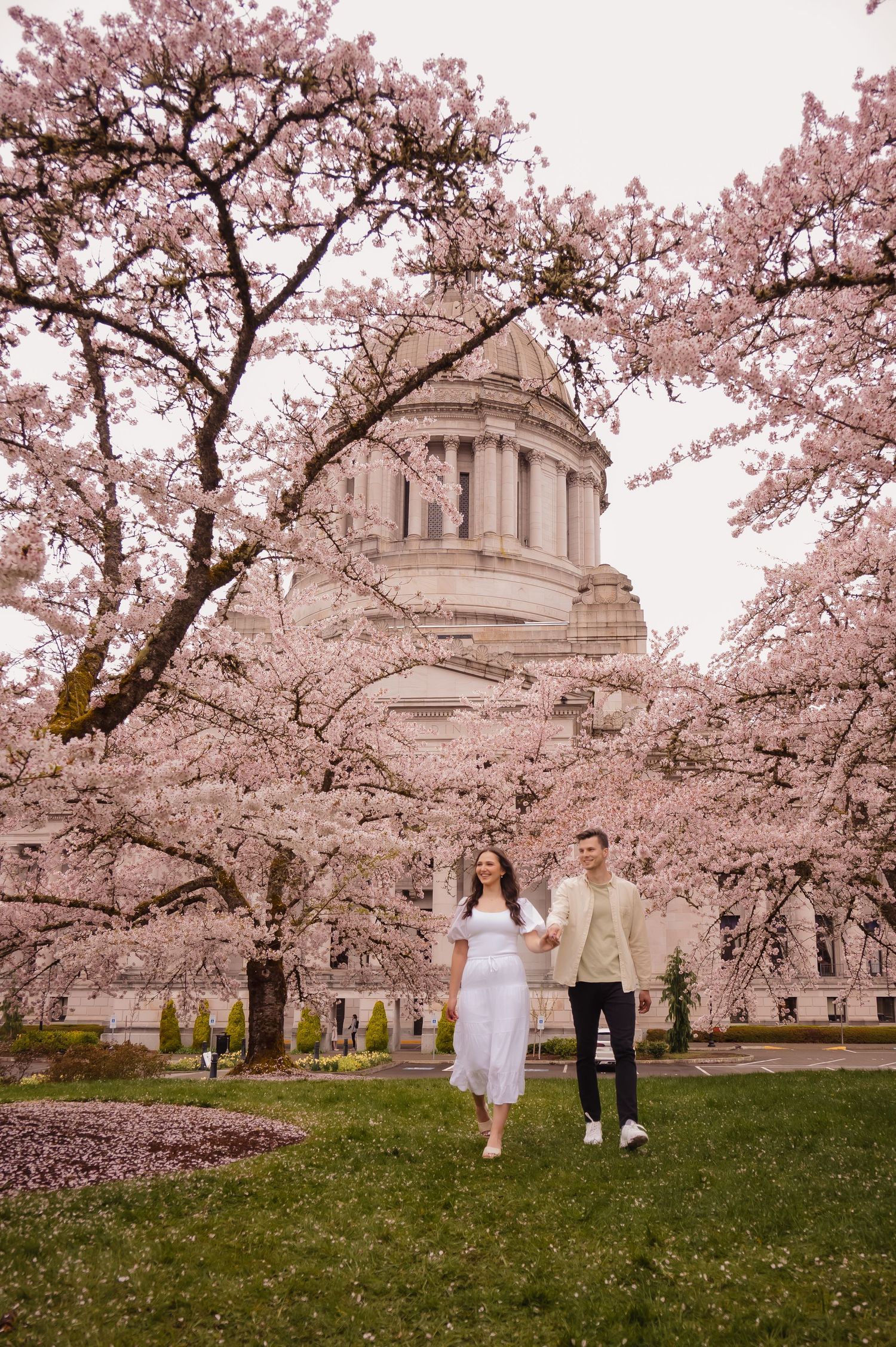 Cherry blossoms frame a neoclassical domed building as people enjoy the spring scenery on the grassy lawn.