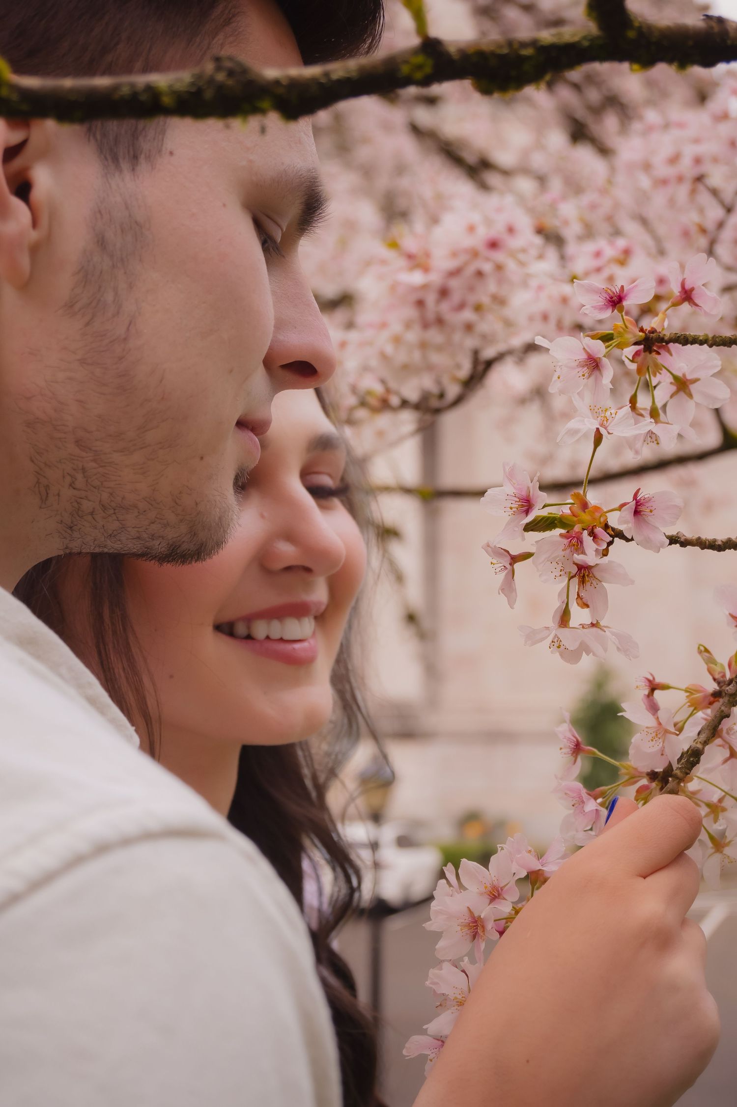 A couple admiring delicate pink cherry blossoms together in springtime, creating a romantic atmosphere.
