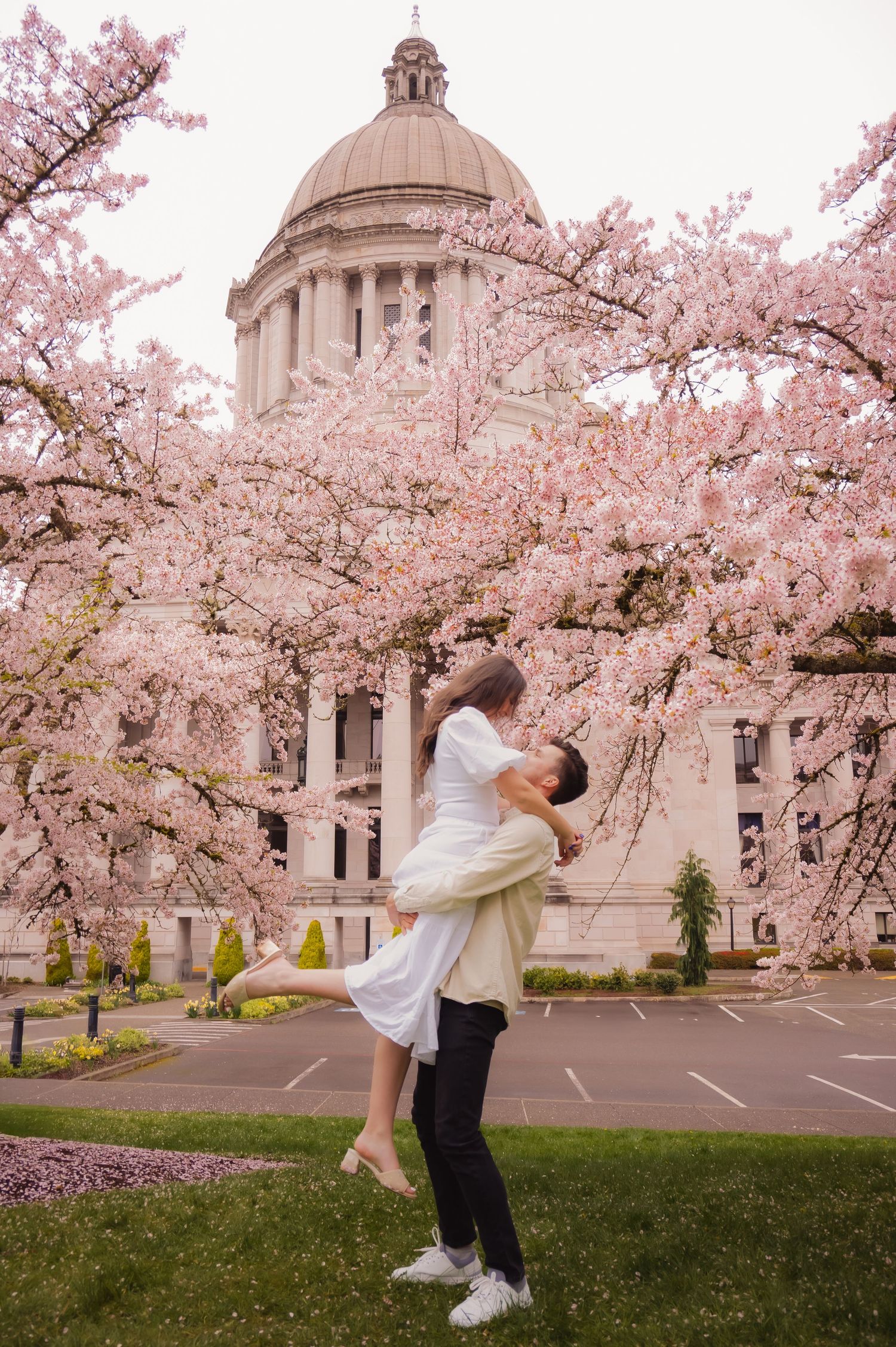 Romantic couple dances beneath blooming cherry blossoms outside a domed government building in springtime.
