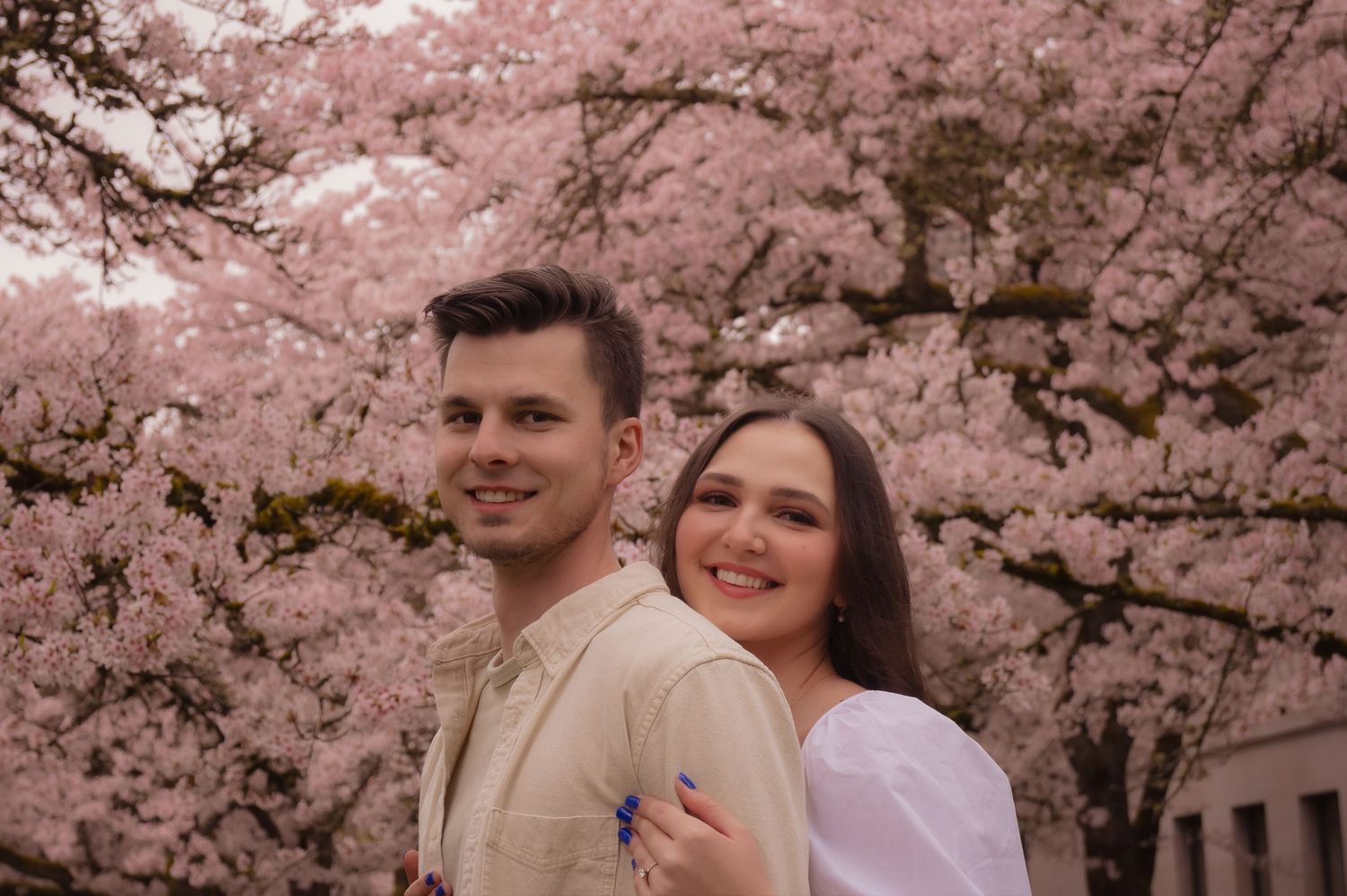 A couple embraces under blooming pink cherry blossom trees during springtime.