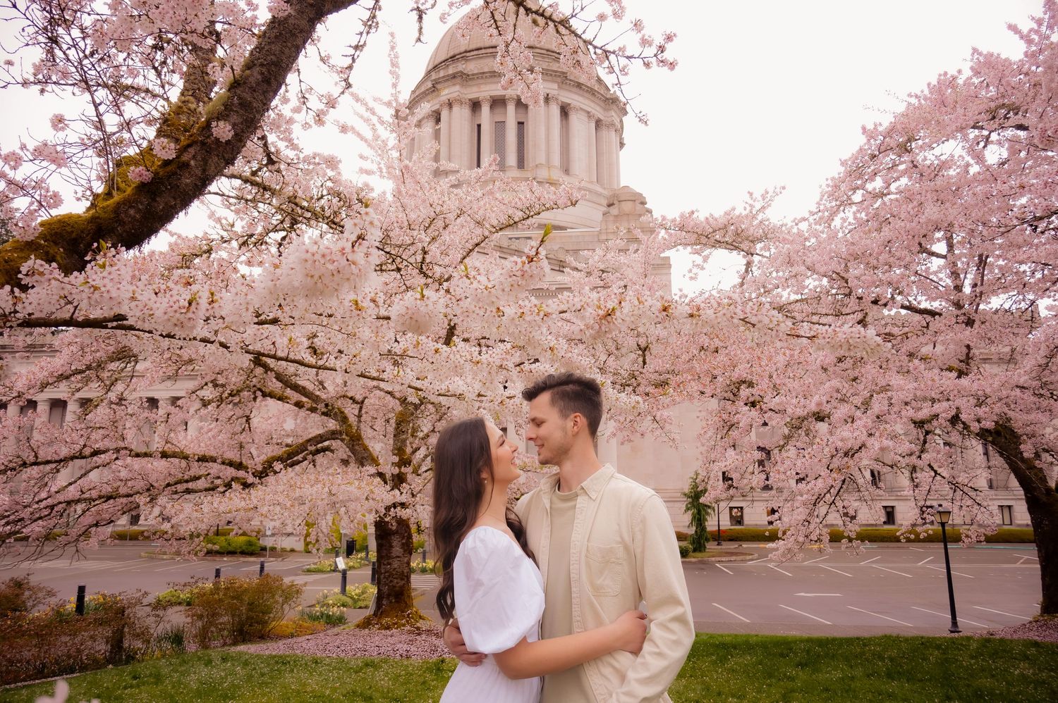 Couple embraces under blooming cherry blossom trees at dusk in a romantic spring garden setting.