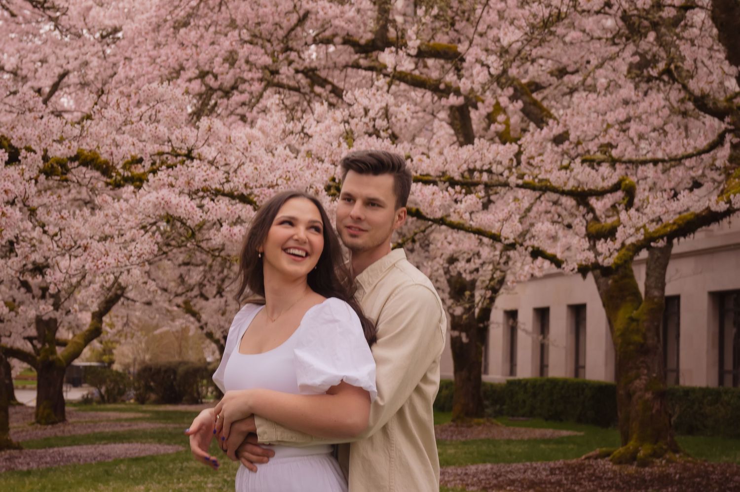 A couple embraces and laughs under blooming pink cherry blossom trees in a spring garden.