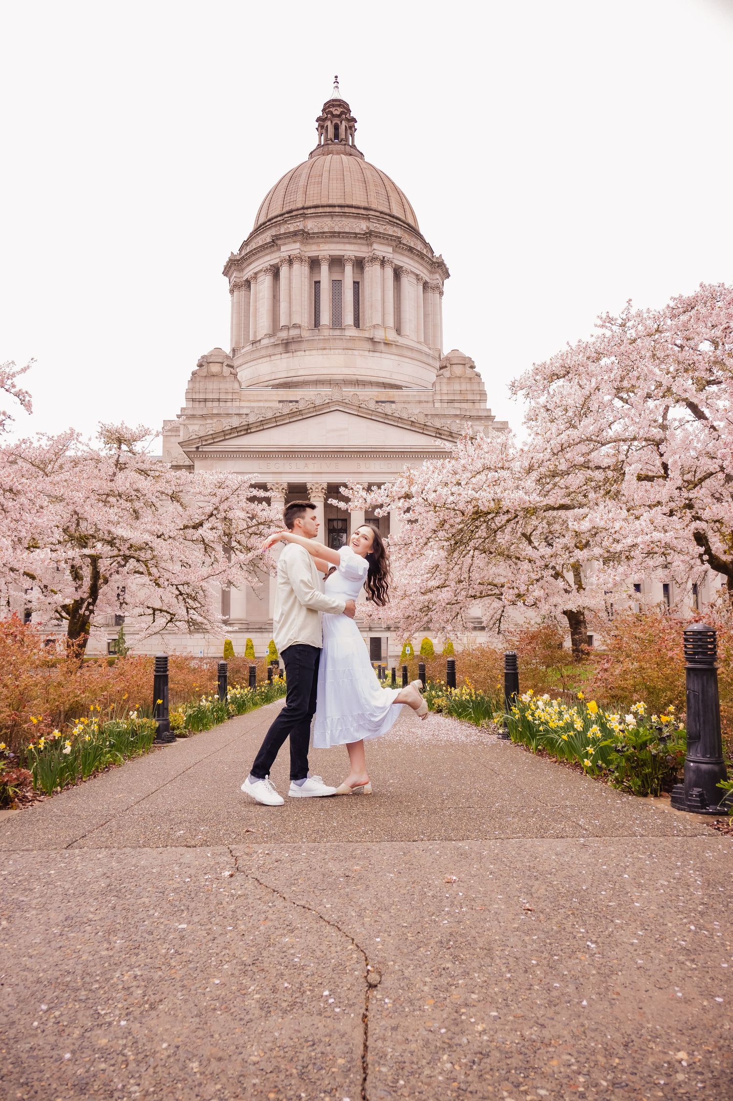 A romantic moment captured at the Washington State Capitol building surrounded by blooming cherry blossoms in spring.