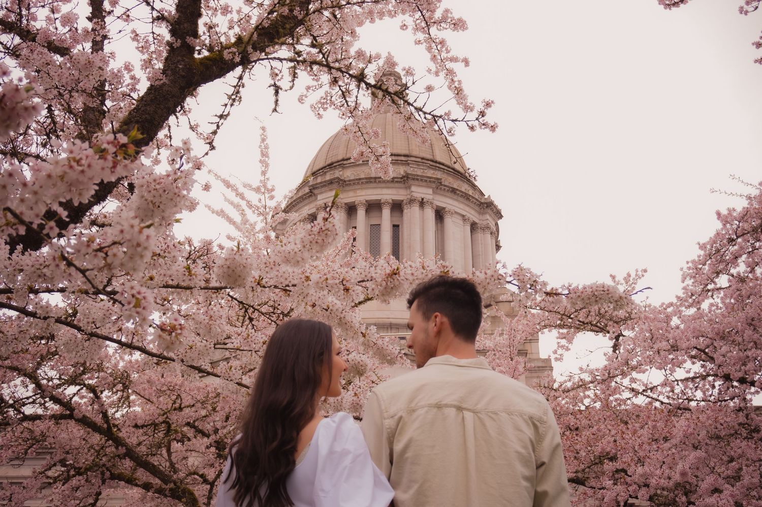 A couple embraces beneath blooming cherry blossom trees with the Washington State Capitol dome in the background.