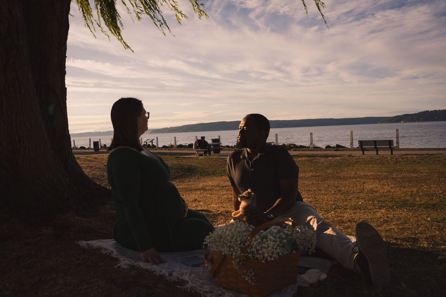 A panoramic series of coastal landscape photos showing palm trees and benches along a beach at sunset.