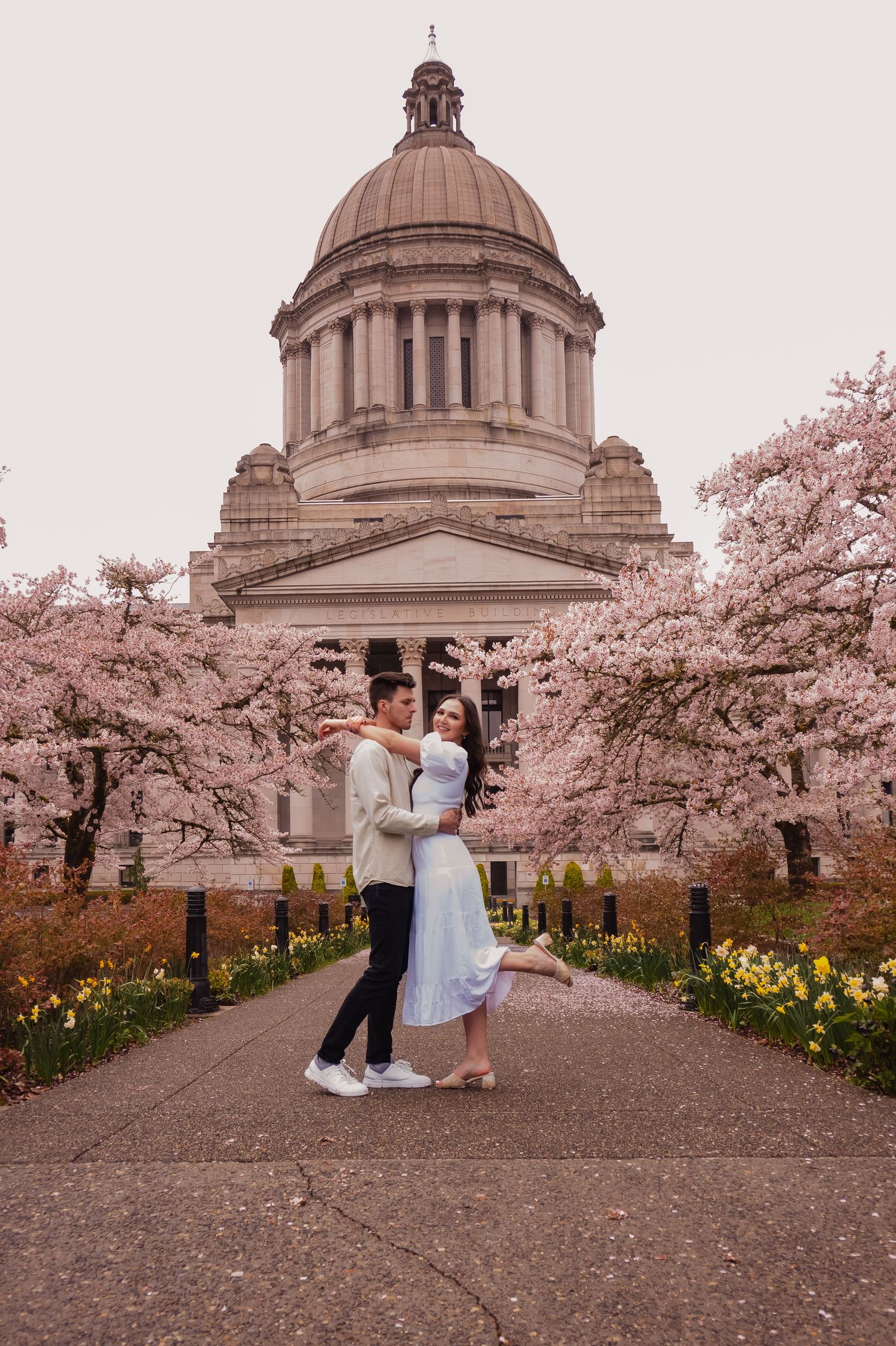 Cherry blossoms frame a romantic scene at a domed building during springtime in Washington DC.