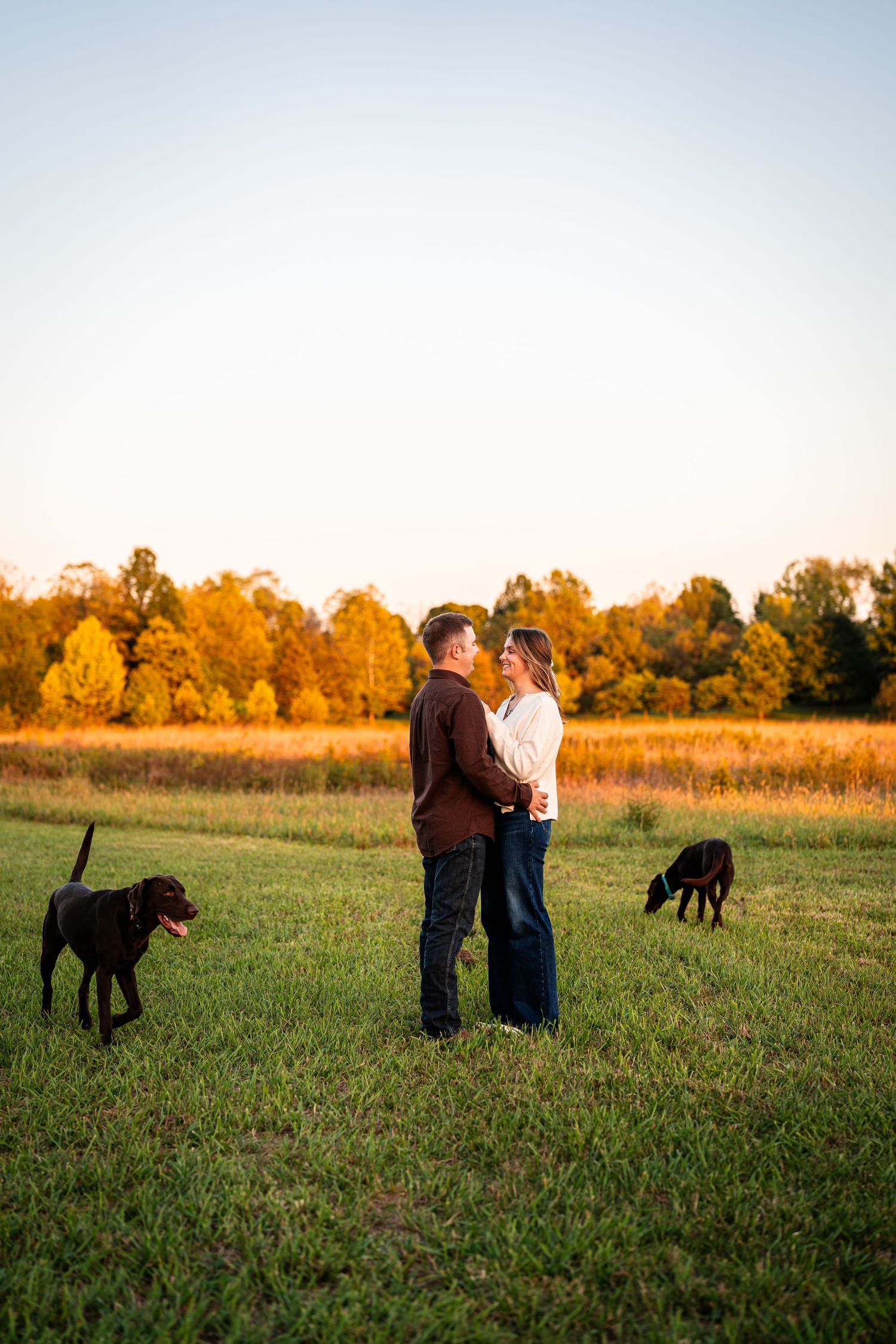 A couple stands in a golden field at sunset while dogs play in the background.