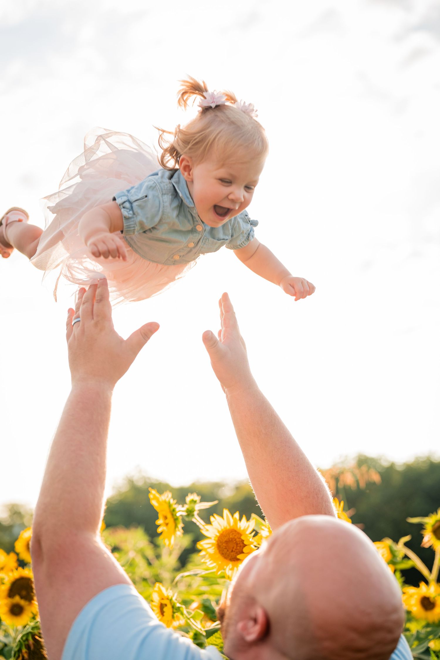 Joyful moment of child being lifted high in air against sunflower backdrop.