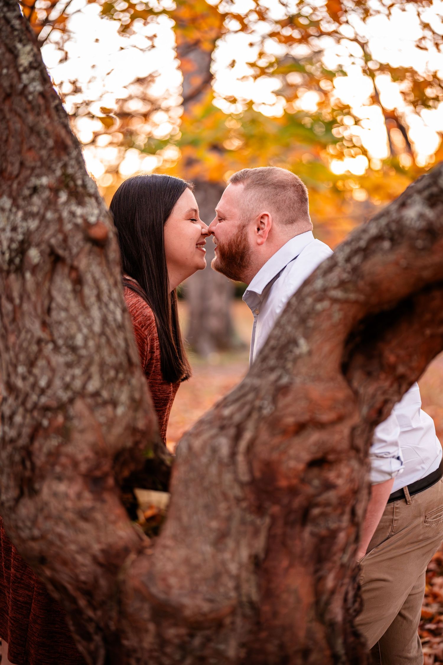 A romantic autumn moment captured between trees with golden leaves in the background.