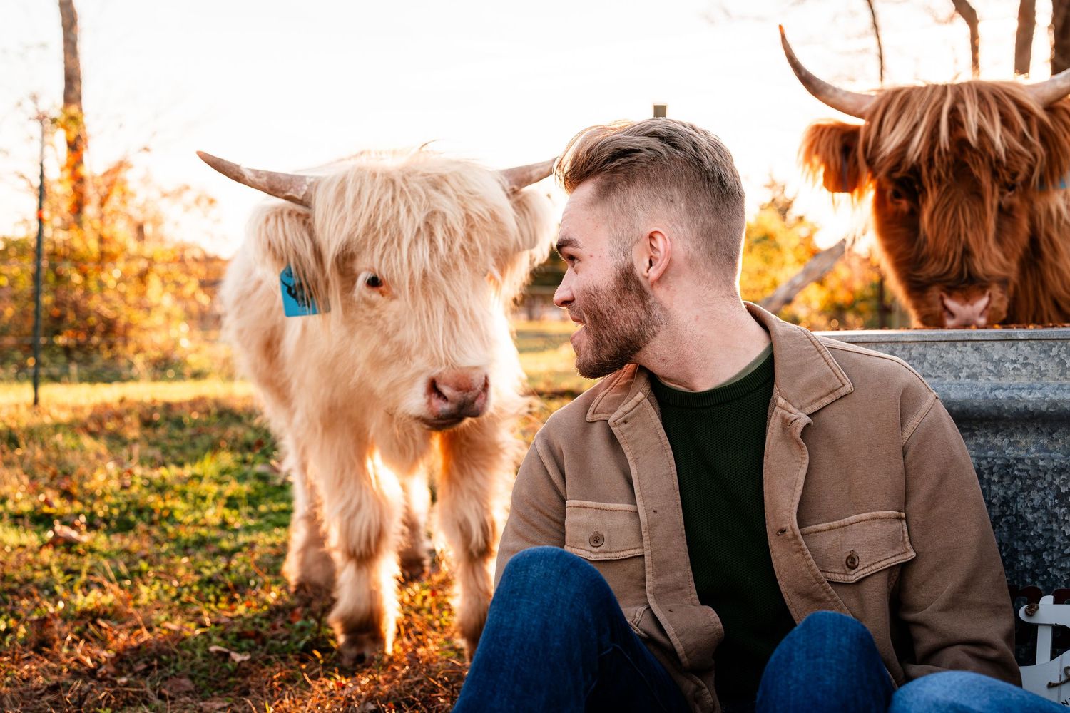 A Highland cow poses with someone in a tan jacket during an autumn photoshoot.