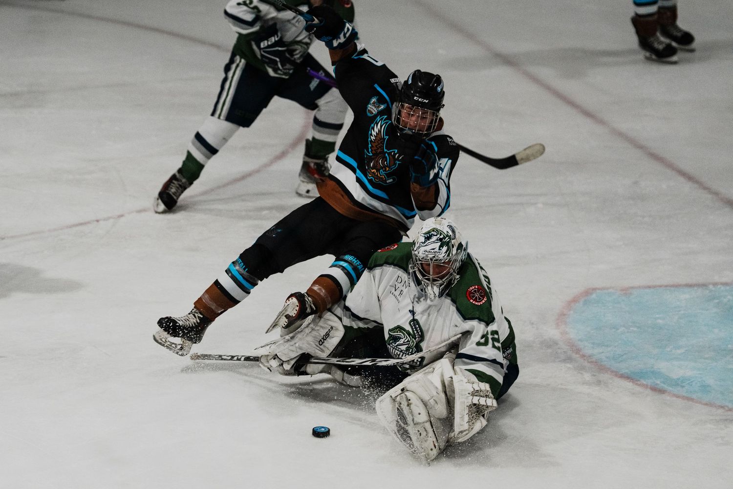 Two hockey players collide on the ice as they compete for the puck.