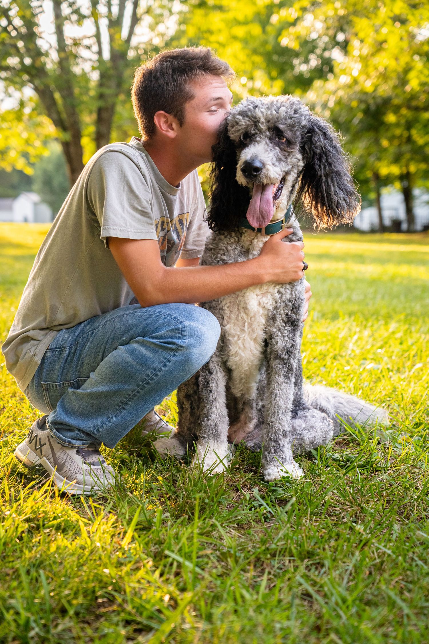 Person and fluffy gray dog playing together in sunny field with yellow flowers.