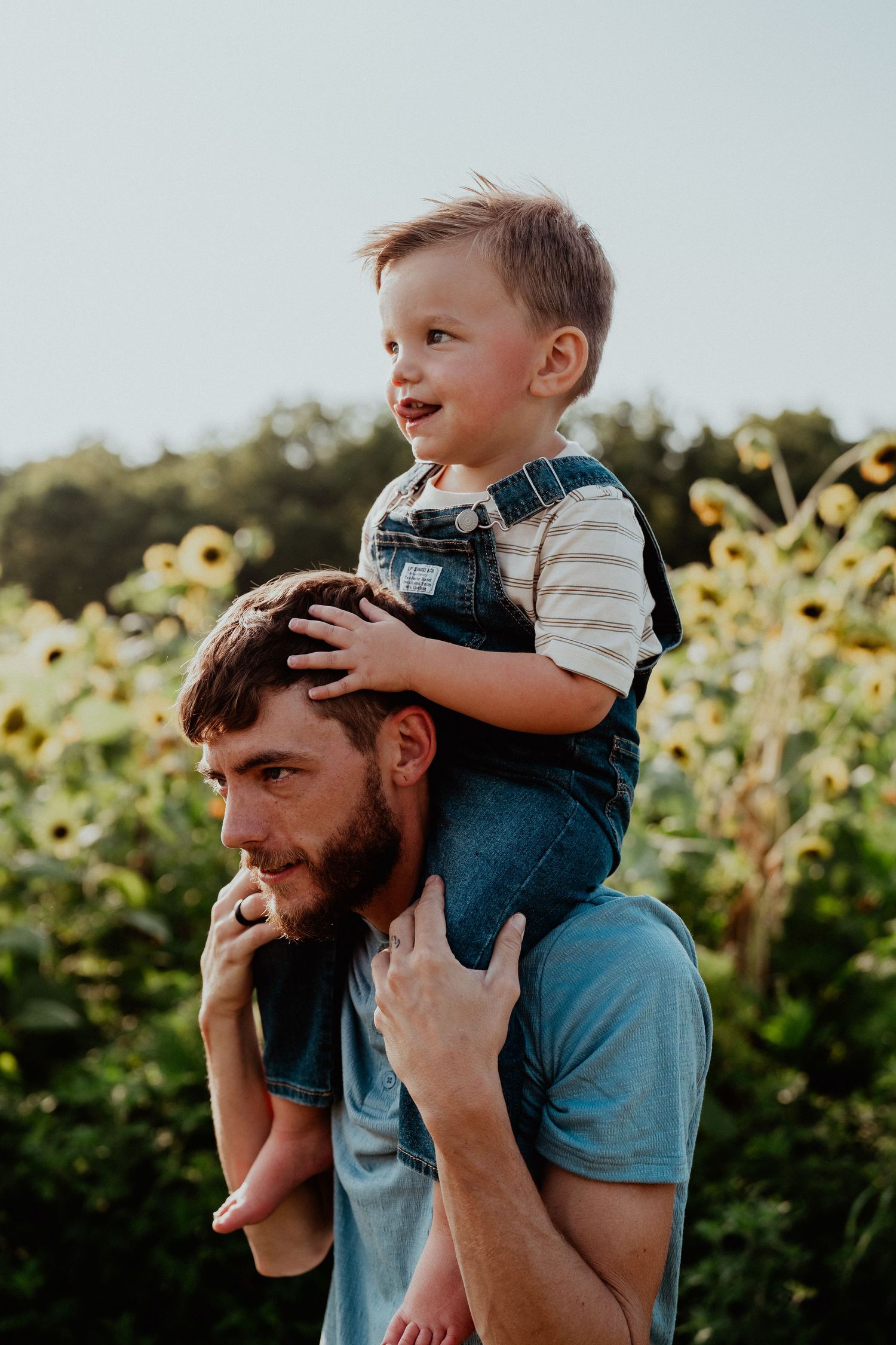 Child riding on shoulders through sunflower field at sunset.