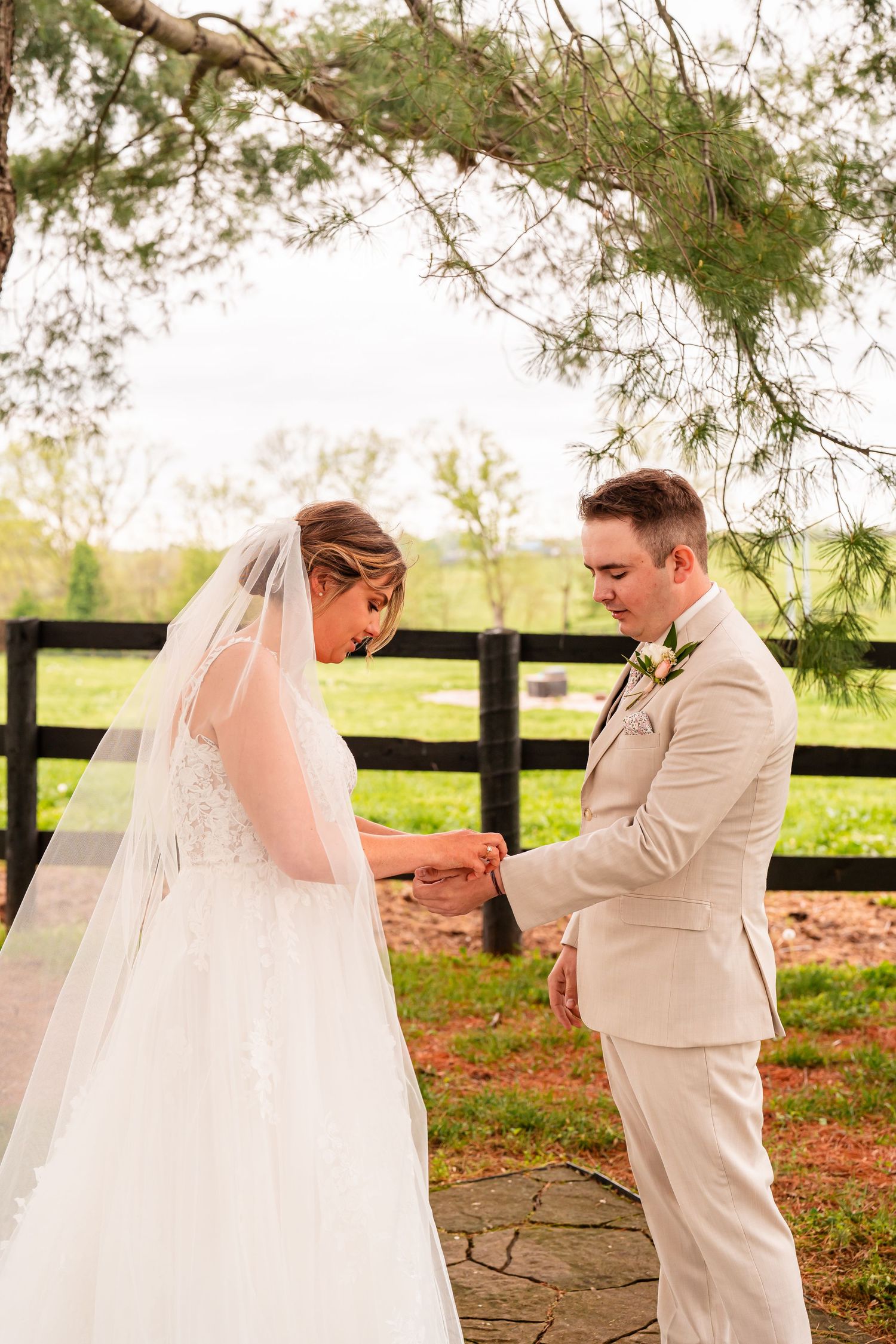 Wedding ceremony moment under pine trees with rustic fence backdrop.