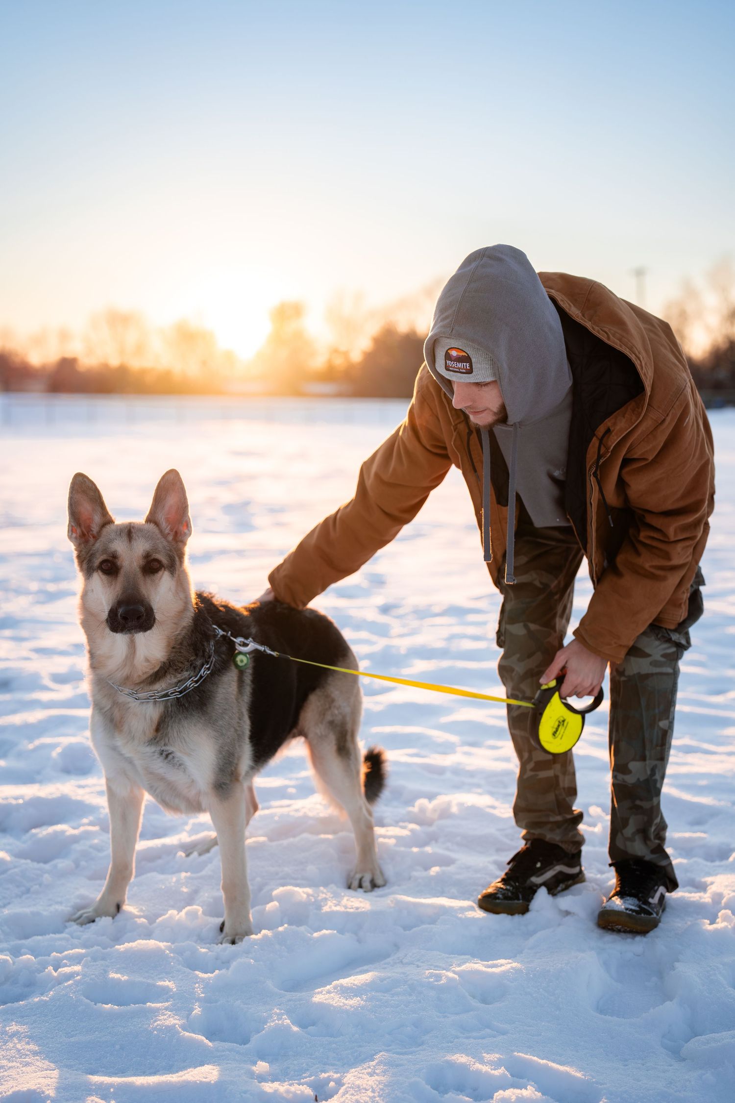Person playing with German Shepherd dog in fresh winter snow.