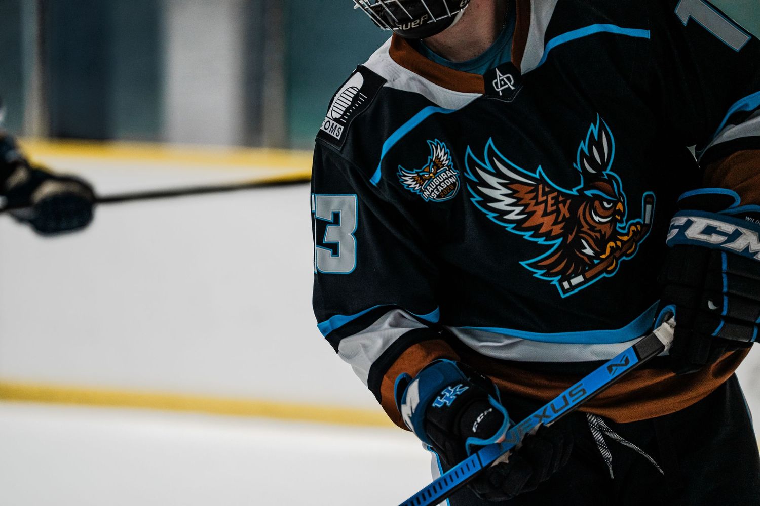 A hockey player wearing a black jersey with a colorful bird logo on the chest stands on an ice hockey rink.