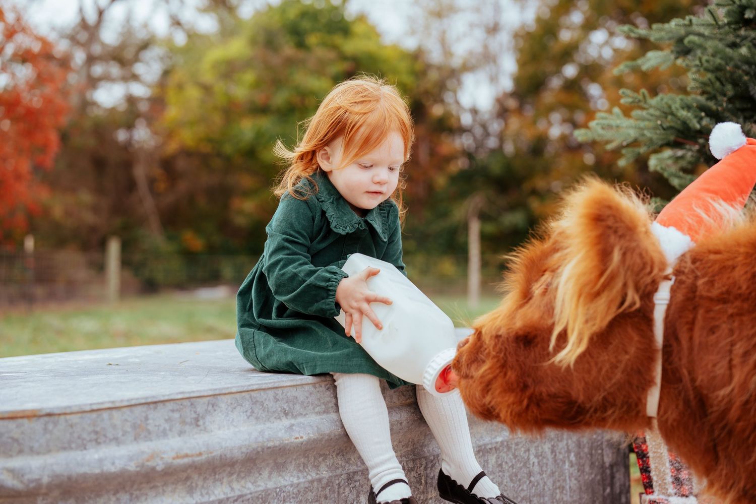 A young girl in a green jacket sits on a step, petting a large orange dog in an outdoor setting with fall foliage.