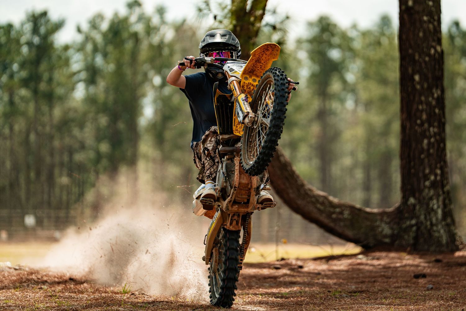 A dirt bike rider kicks up dust as they navigate through a wooded trail.
