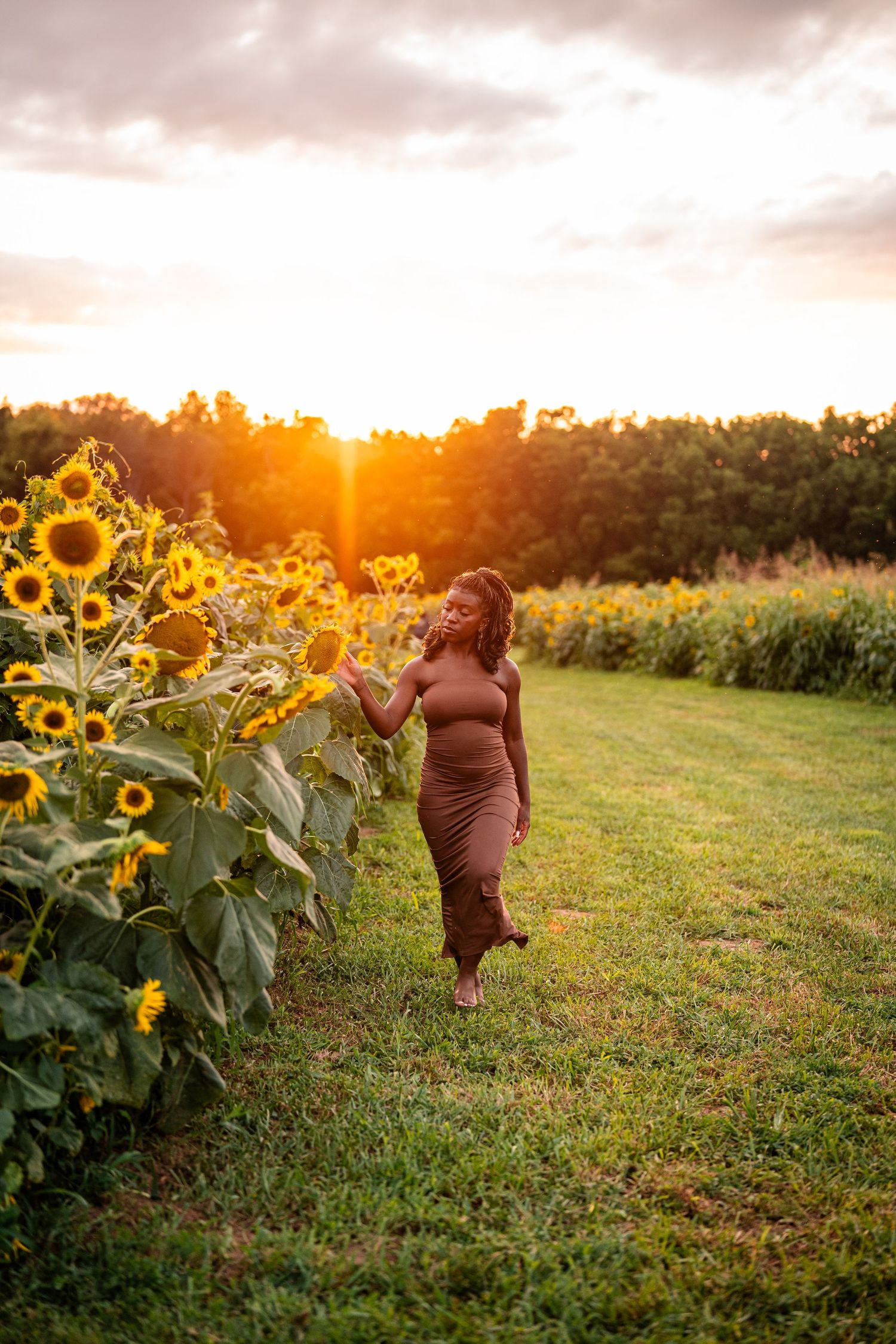 Beautiful sunset scene in a sunflower field with golden hour lighting.