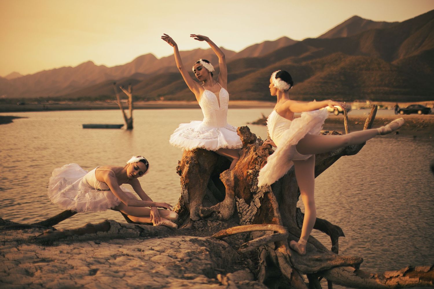 Ballet session