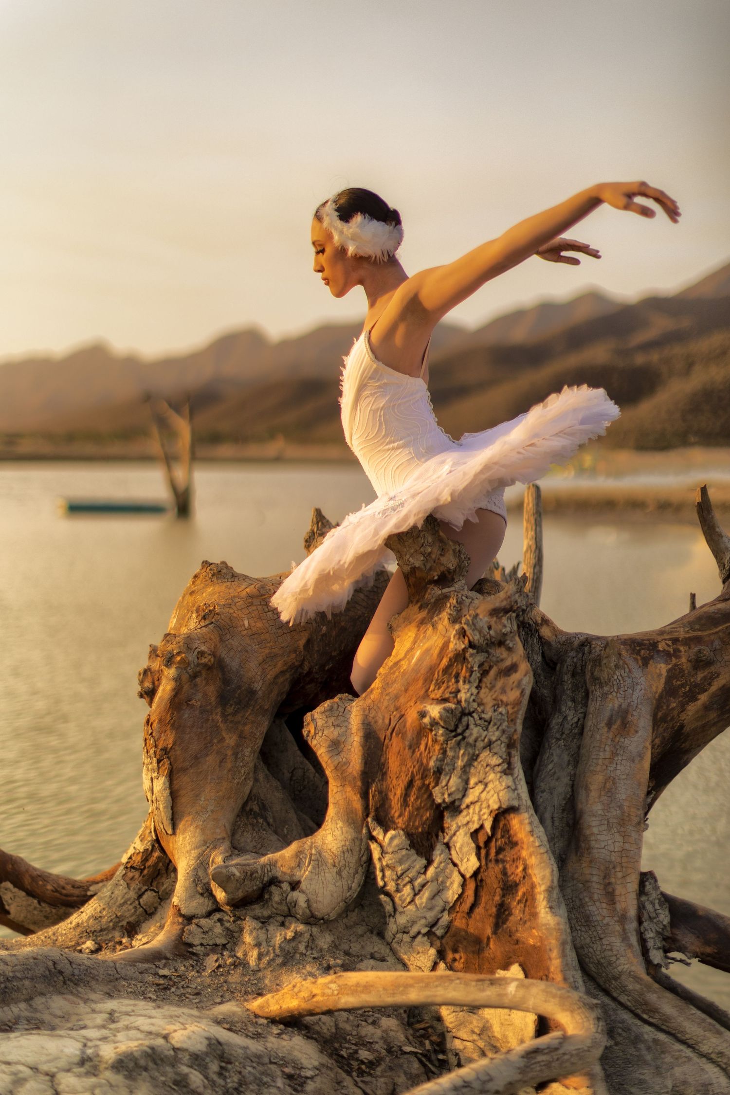 Ballet sesion