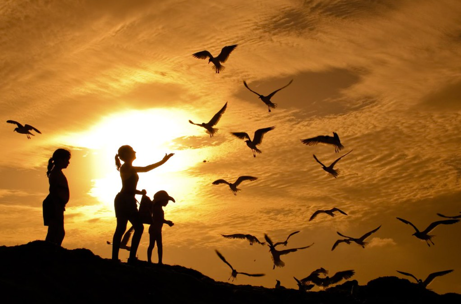 Sunset family