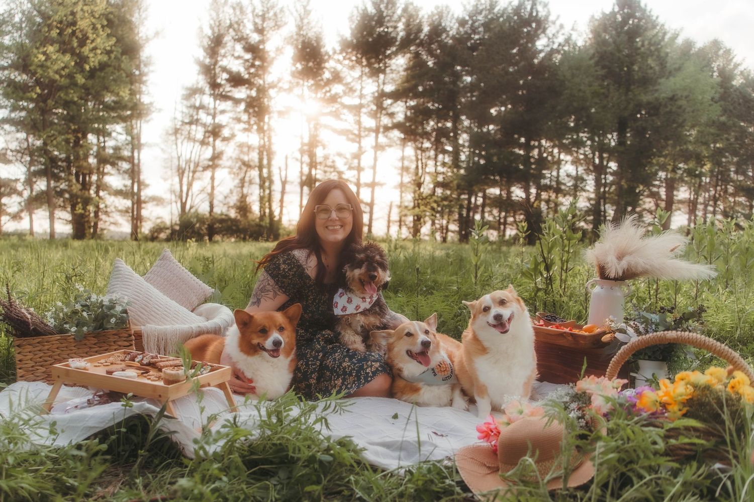 picnic with dogs