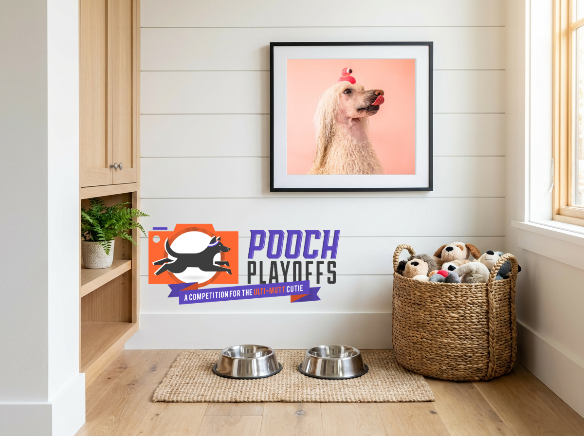 Dog-themed room with Pooch Playoffs banner, framed poodle art, metal food bowls, and wicker basket of toys on wood floor.