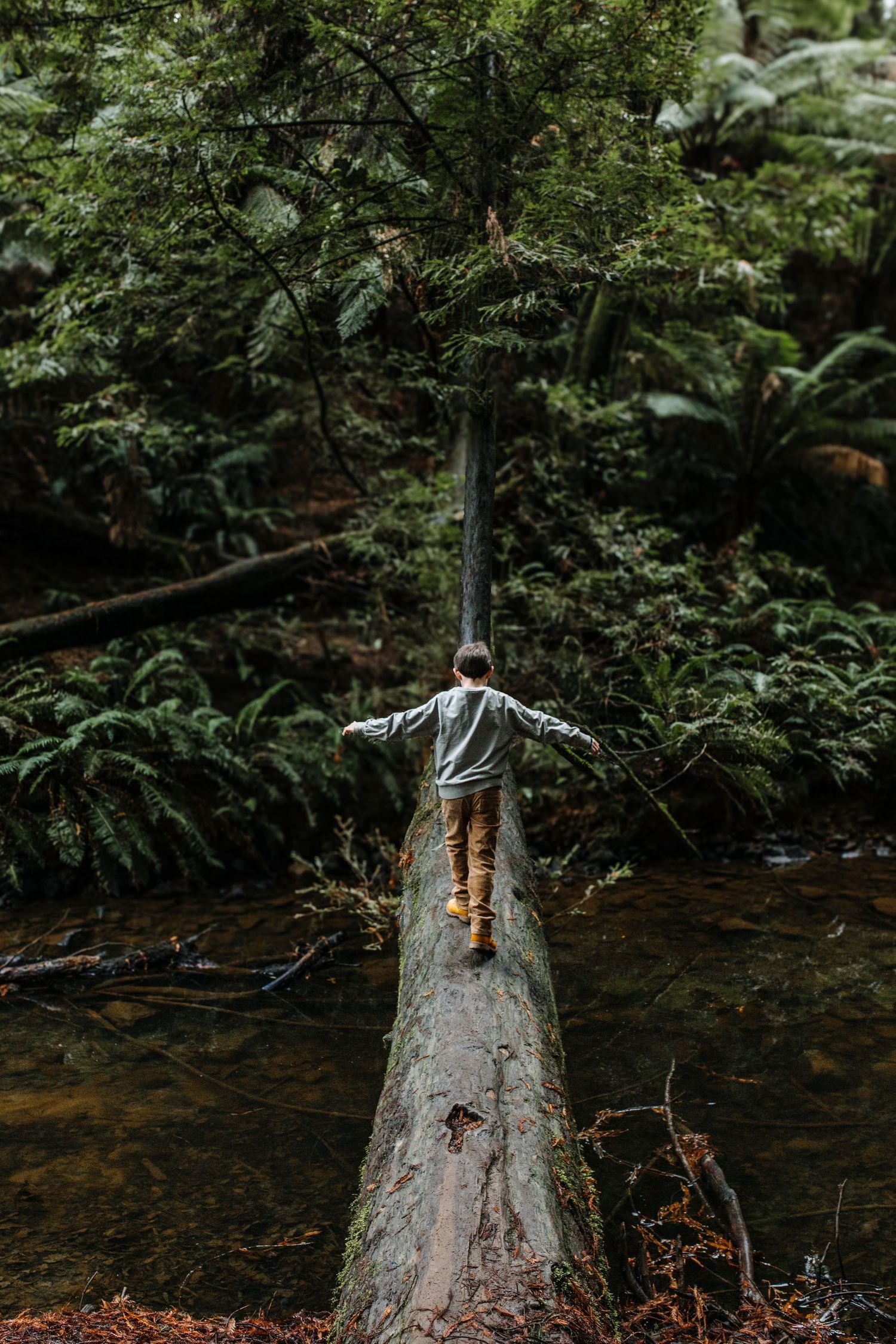Person balancing on fallen log over stream in lush forest setting.