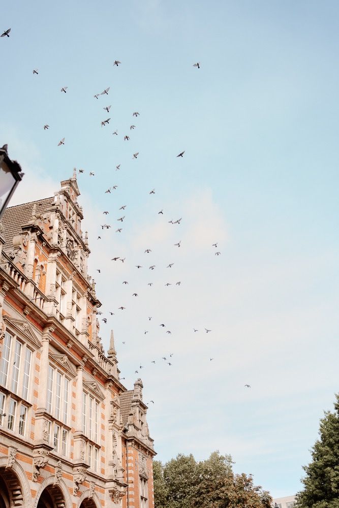 Birds soar above an ornate historic building facade with baroque architectural details against a soft blue sky.